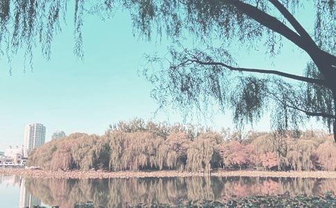 С�W(xu��)�＾�̌W(xu��)Ӌ(j��)��