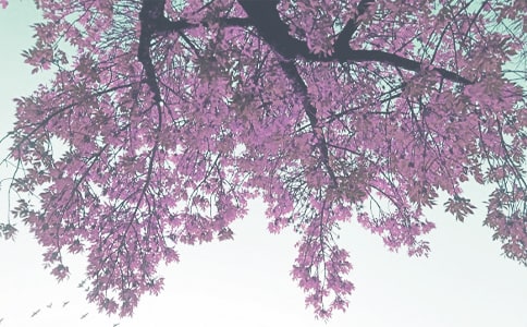 秋季學期安全工作計劃