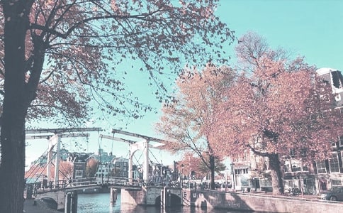 學(xué)前班秋季學(xué)期個(gè)人工作總結(jié)