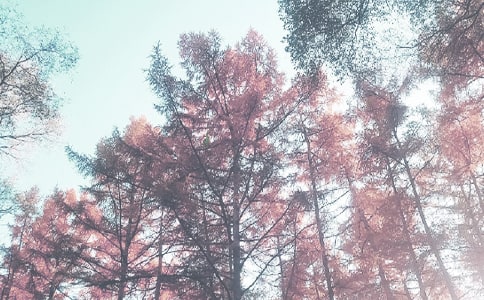 有關(guān)秋季學(xué)期工作計(jì)劃6篇