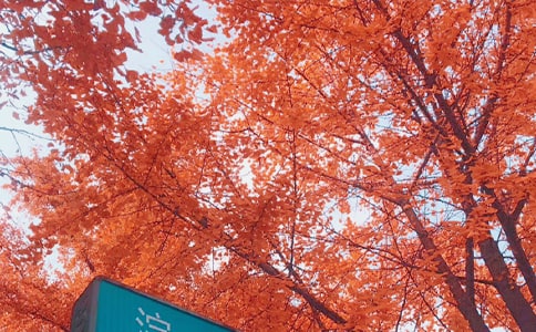 �����S������