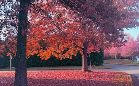 ����(y��u)�x�����Ճ�(y��u)������