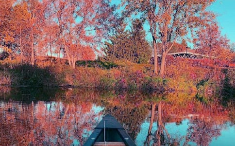 �������Z(y��)����700��