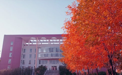 ���Ց�������5ƪ