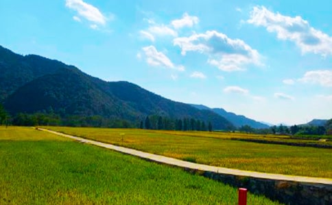 ���Ճ�(y��u)�����ģ����x30ƪ��