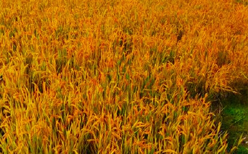 �P(gu��n)�����յ�����