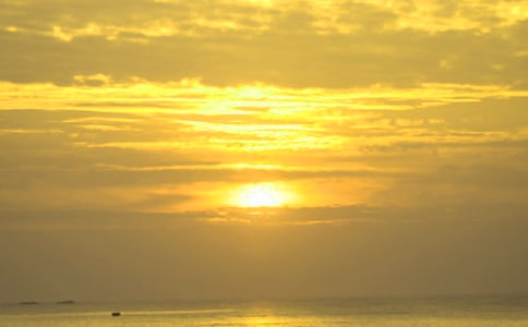 �ճ���(y��u)������[����15ƪ]