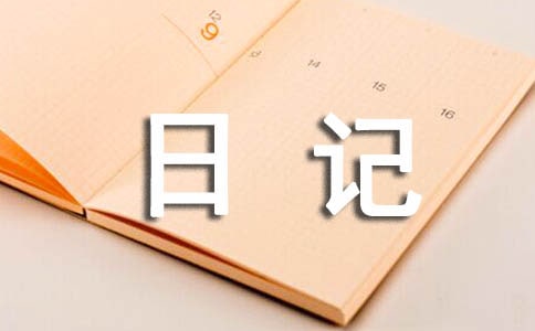 (實用)過年日記范文