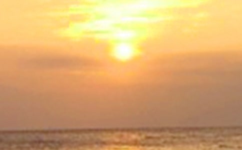 �茑�ճ�����ľ��� 