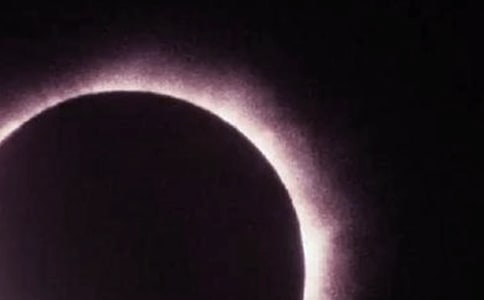 ��ʳ��(y��u)������3ƪ(��(y��u)�x)