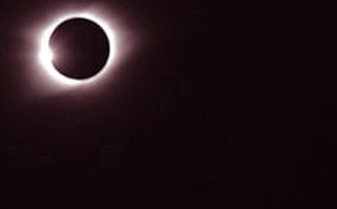 ��ʳС�W(xu��)����