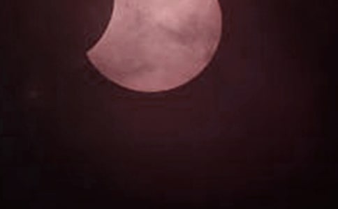 ��ʳ��(y��u)������8ƪ(���T)