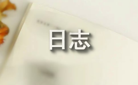 小學(xué)家訪日志(精選22篇)
