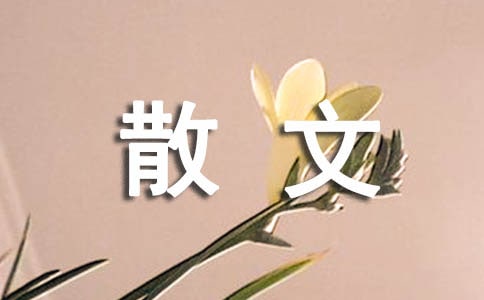 精美散文摘抄