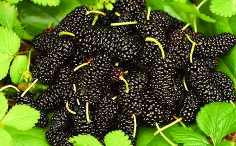 �����]��ժɣ������13ƪ