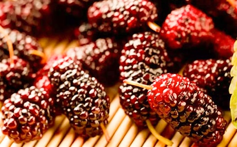 ժɣ������(14ƪ)