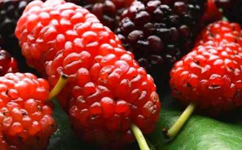 ժɣ������14ƪ