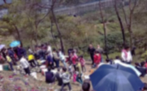 ��Ĺ��������