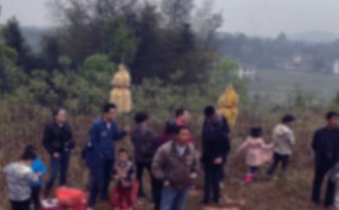 烈士陵園掃墓作文700字(通用43篇)