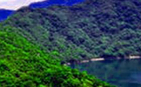 �콭ɽˮ����