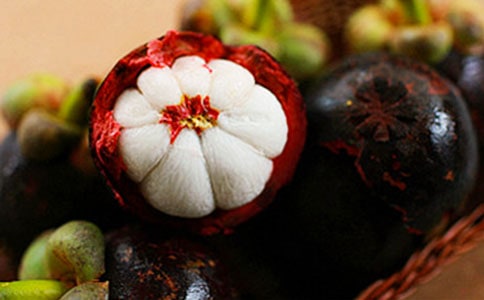 ����ɽ�����ļ��\��15ƪ��