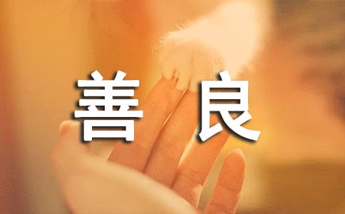 善良的魅力作文(11篇)