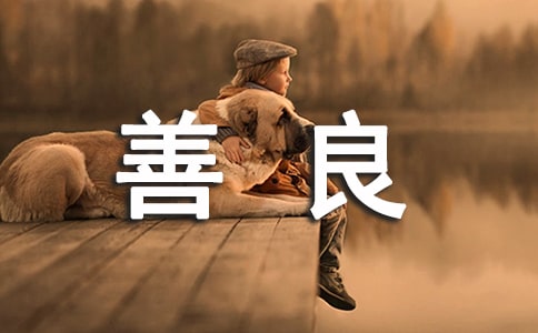 ���p��һ�N��������