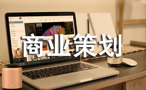 商業(yè)策劃書格式