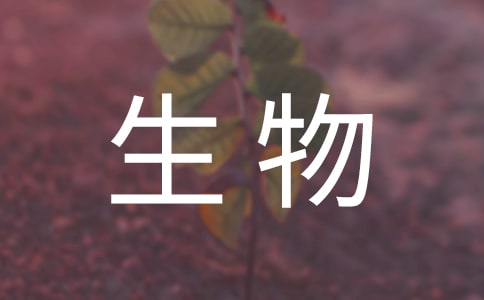 九年級生物教案大全