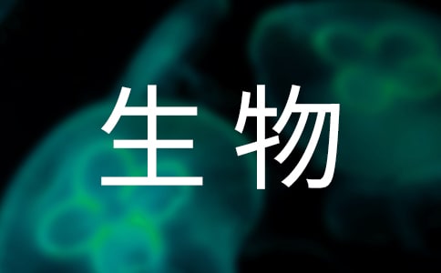 《表里的生物》教案