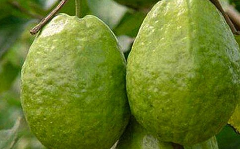 ͵ʯ������