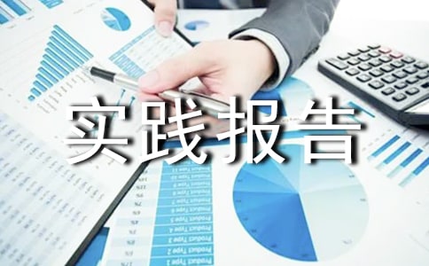 【精選】暑期實踐報告三篇