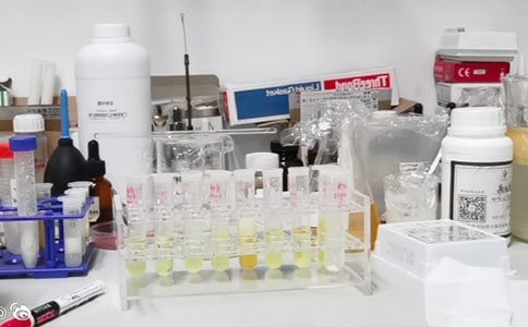 ��(sh��)�(y��n)�Ұ�ȫ�Բ��(b��o)�淶��ͨ��