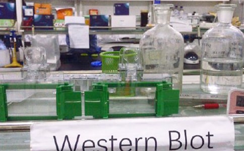 ����һ��T�������Y(ji��)