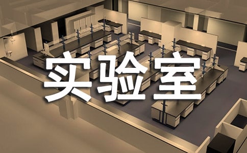 實驗室自查報告