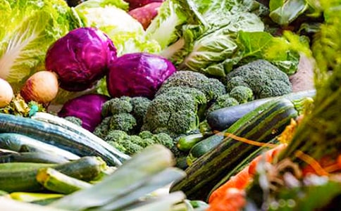 上半年蔬菜工作總結匯報