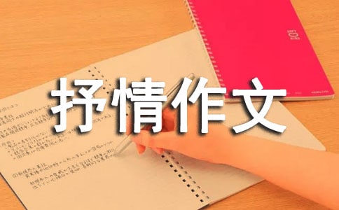 ����Ʒ����������300����ƪ