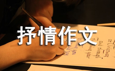 �߶���������