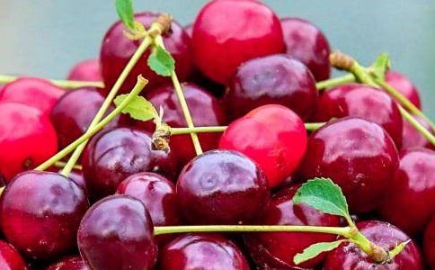 中班美術(shù)活動(dòng)教案:水果