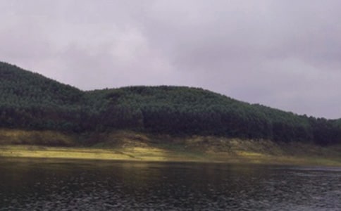 ˮ��ӹ̵ĭh(hu��n)�����o(h��)�cˮ������̽ӑ