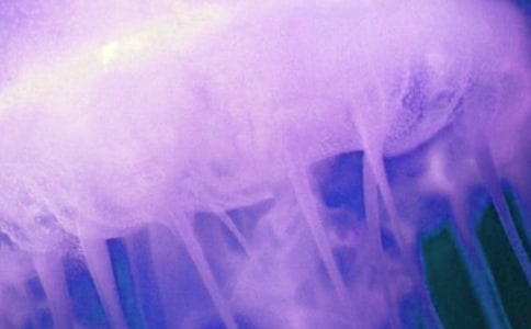 ˮĸ��(y��u)������