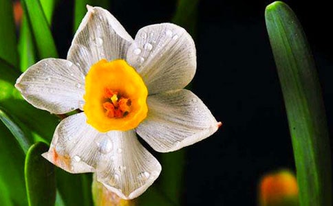 �Ҽҵ�ˮ������