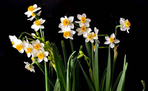 ˮ�Ƀ�(y��u)������15ƪ