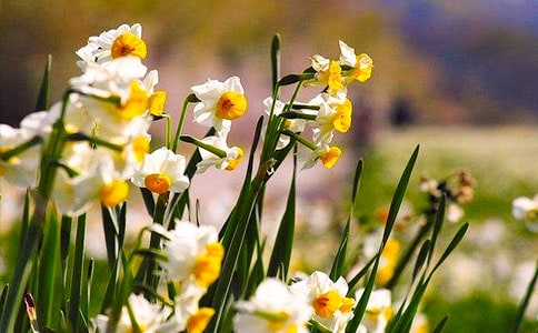 [��(y��u)�x]ˮ�ɻ�������