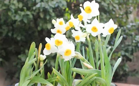 �Nˮ�ɻ�����4ƪ