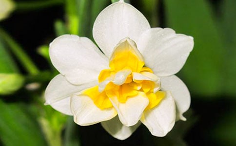 ����(j��ng)�䣩��ˮ�ɻ�������