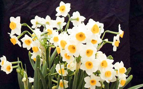 ˮ�ɻ����ġ����]��