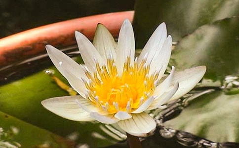 ���˯ɏ���g(sh��)�̰������x18ƪ��