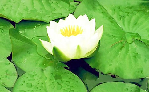 ��������˯ɏ��(y��u)�����ģ����x3ƪ��