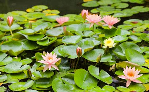 ˯ɏ��(y��u)�����ģ����x42ƪ��